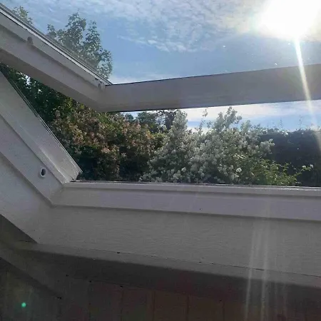 Idyllic Summer House Close To And Forest *