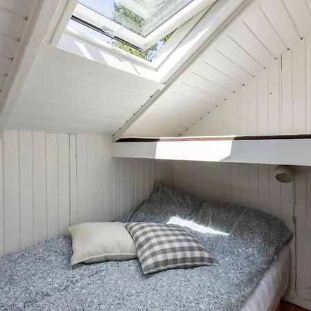 Idyllic Summer House Close To And Forest